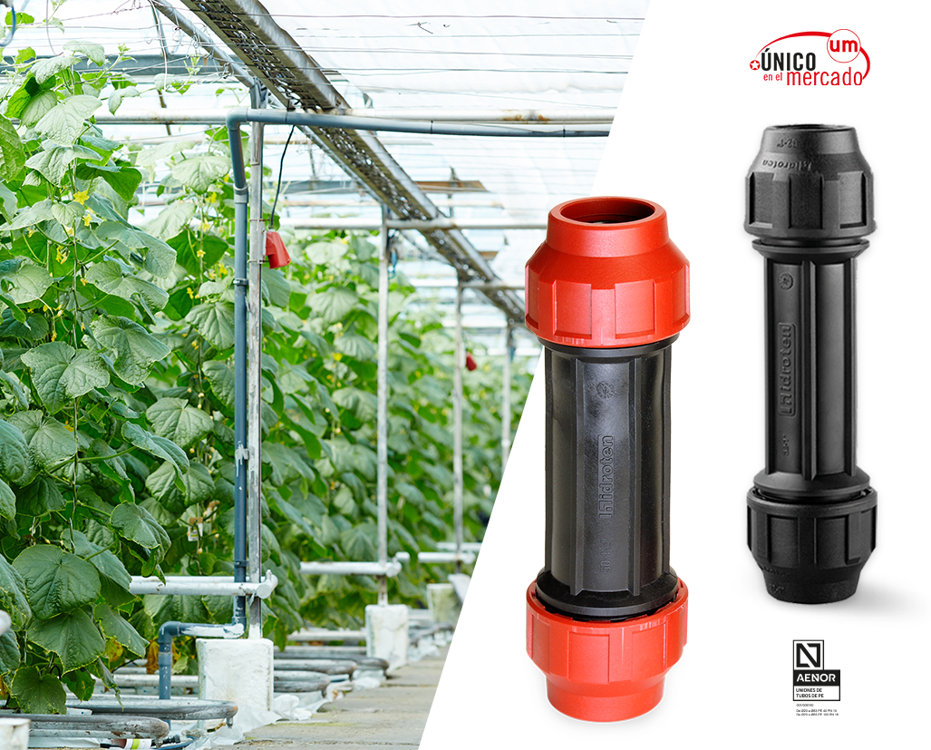 Vertical crops and irrigation systems