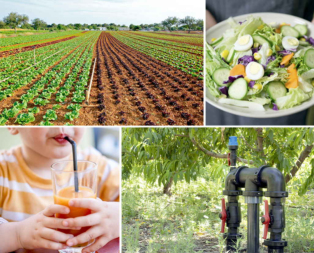 JOURNÉE MONDIALE DE L'ALIMENTATION 2022, CULTIVER, NOURRIR ET PRÉSERVER