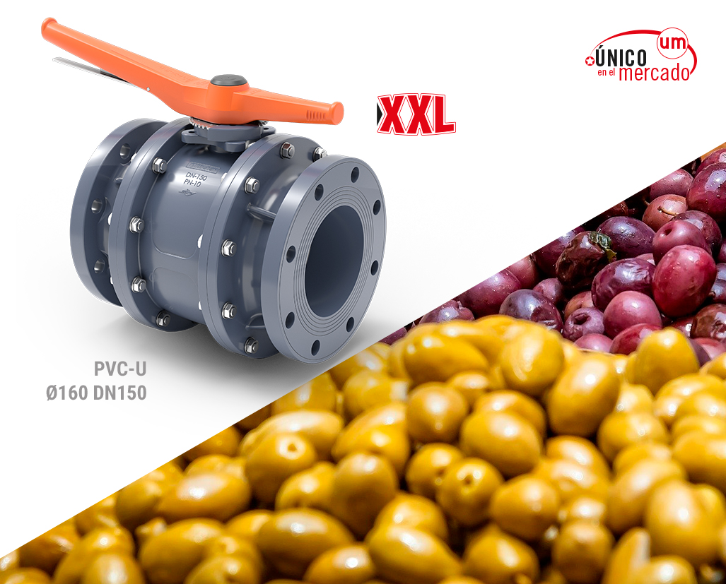 The evolution of canned vegetables and pickle industry