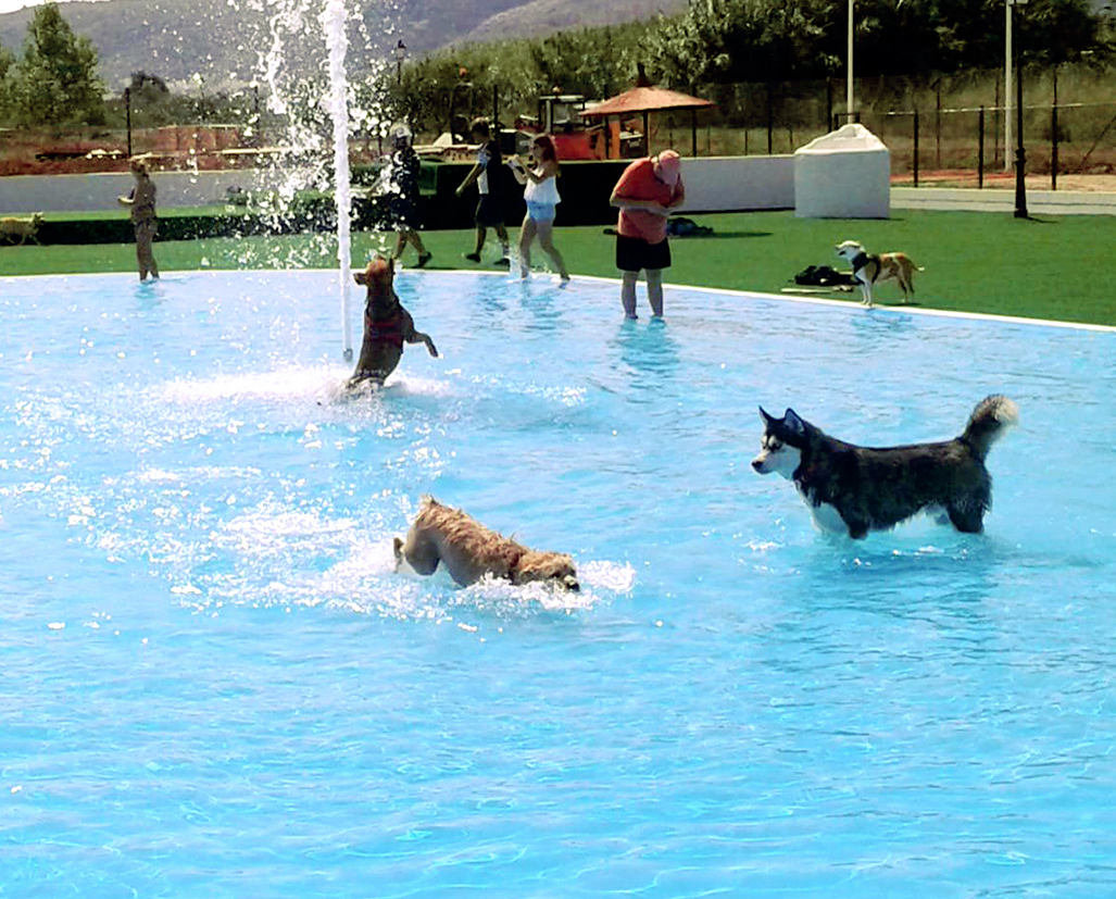 L´UNE DES PLUS GRANDES PISCINES DES ANIMAUX EN ESPAGNE