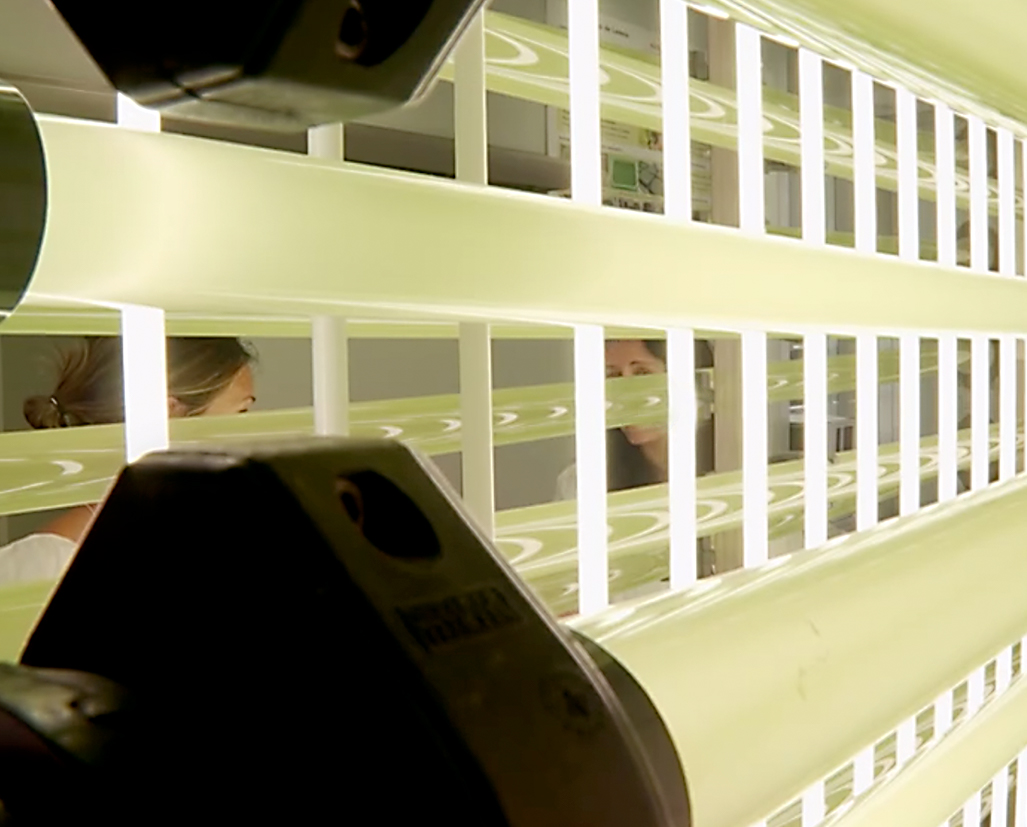 Sns® applied to harvesting and microalgae development